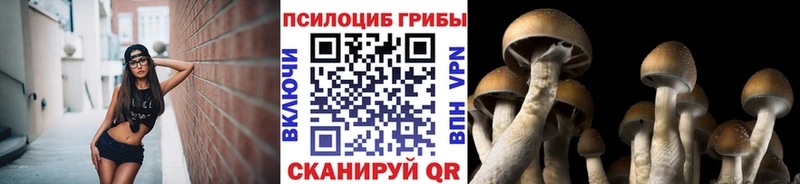 Галлюциногенные грибы Psilocybine cubensis Юрьевец