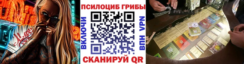 купить   Юрьевец  мега ТОР  Галлюциногенные грибы Psilocybine cubensis 